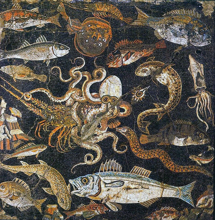 Squid and other sea creatures fromthe National Archaeological Museum; Naples, Italy.